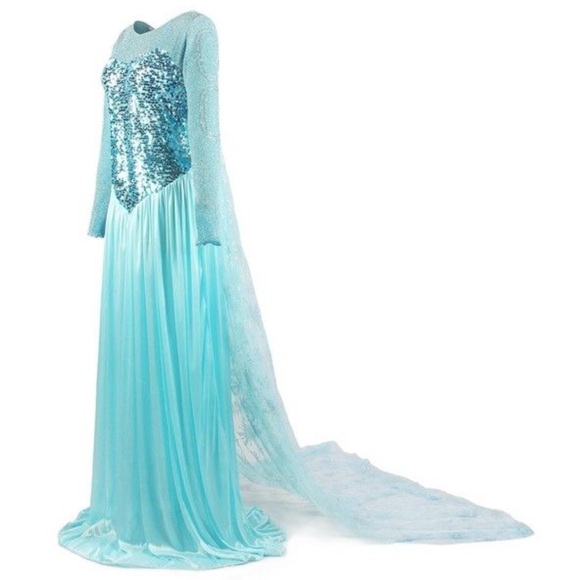 Adult Elsa Frozen Dress Costume - Picture 2 of 11